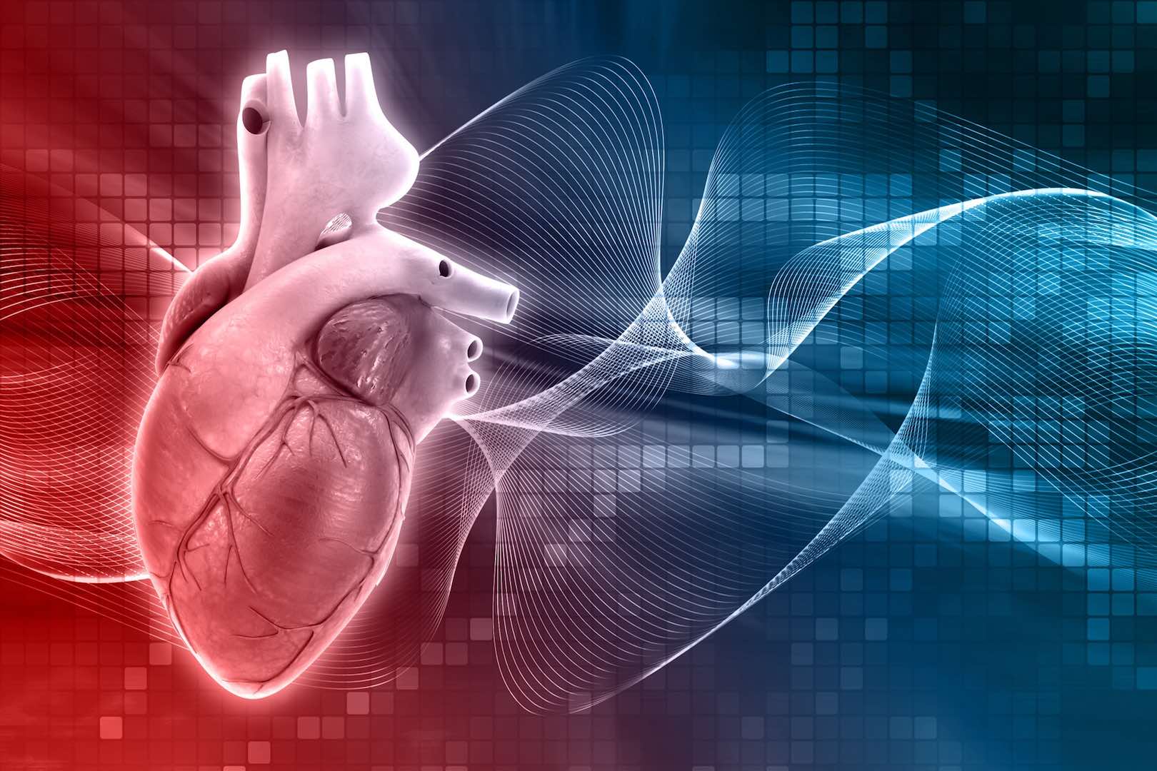دراسة: الصيام المتقطع يزيد من خطر الوفاة بأمراض القلب